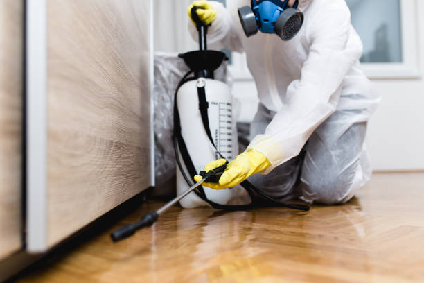  Garden City, MO Pest Control Pros