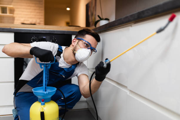Best Rat Extermination Near Me  in Garden City, MO