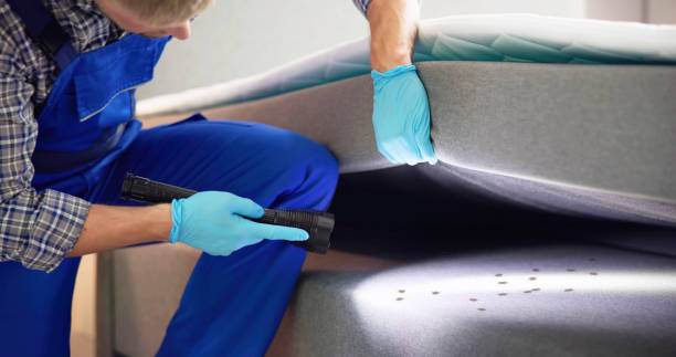 Best Best Pest Control Near Me  in Garden City, MO