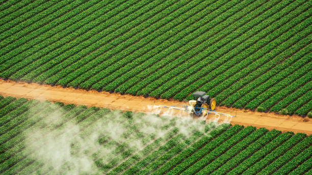 Best Pest Control for Homes  in Garden City, MO