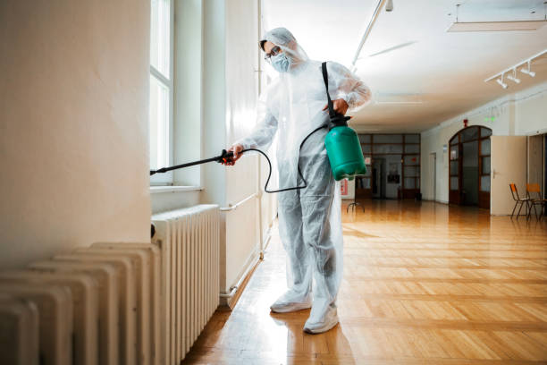 Wasp Removal Services in Garden City, MO